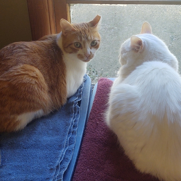 Welcome To My Closet! ❤️ - Picture 3 of 4